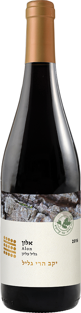 אלון