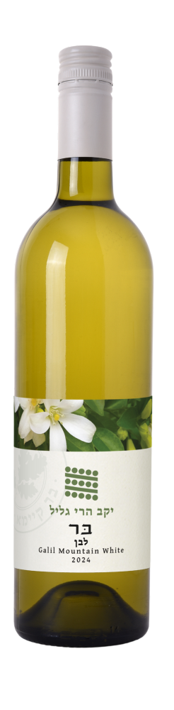 Bar White 