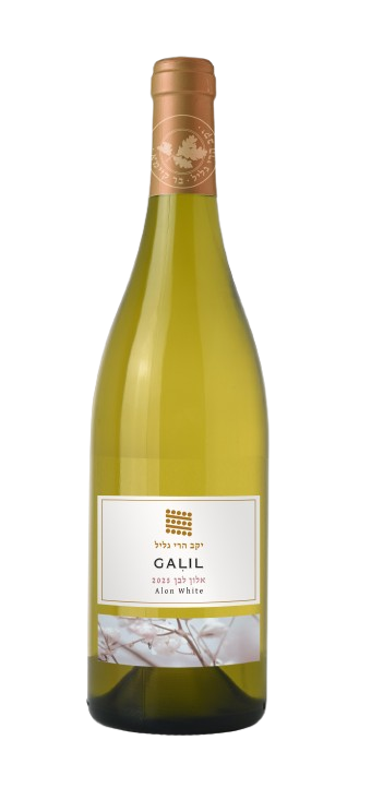גליל