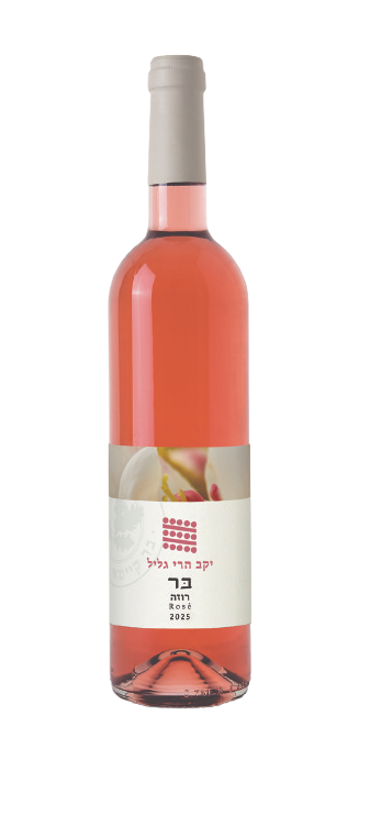 סדרת בר
