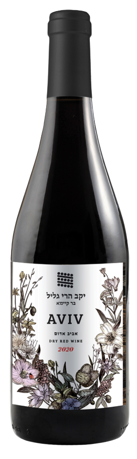 AVIV אדום